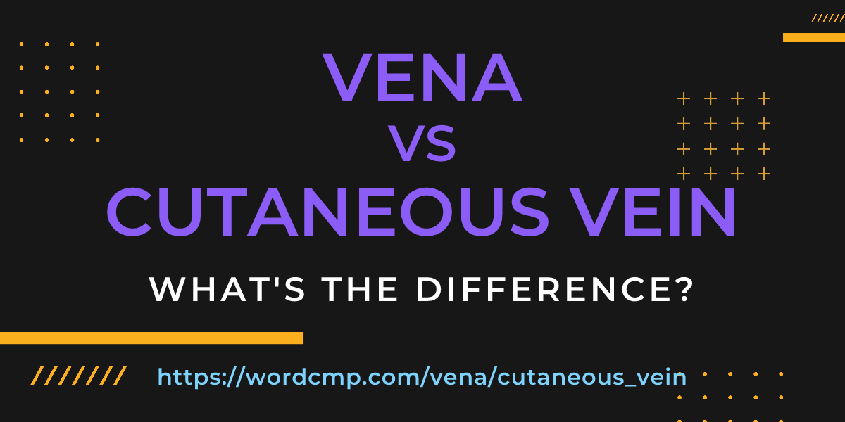 Difference between vena and cutaneous vein