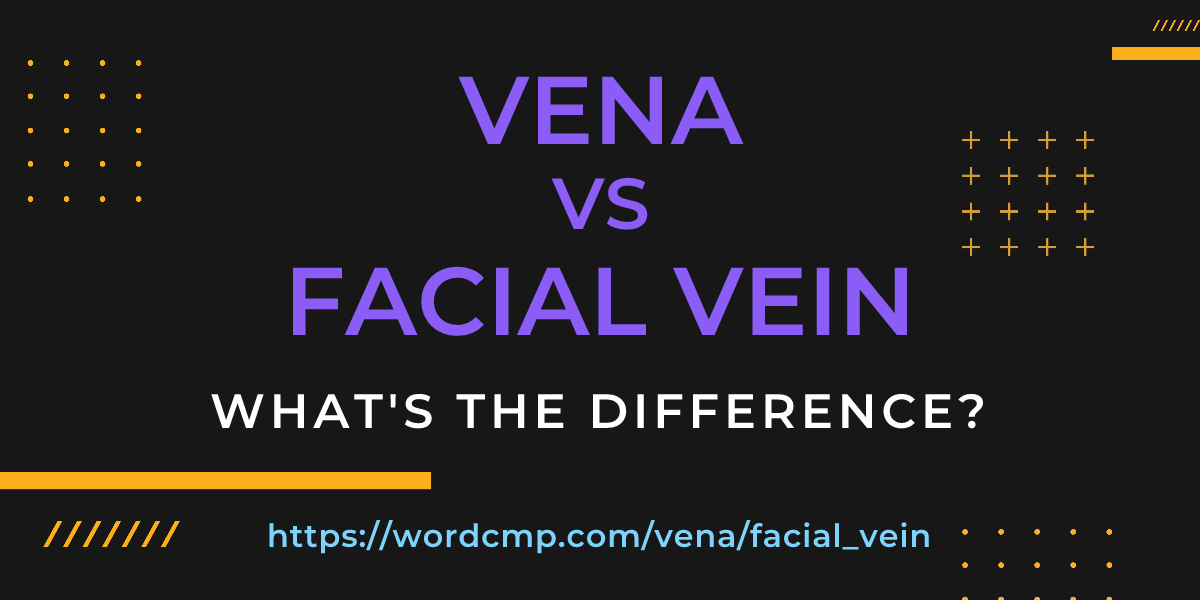 Difference between vena and facial vein
