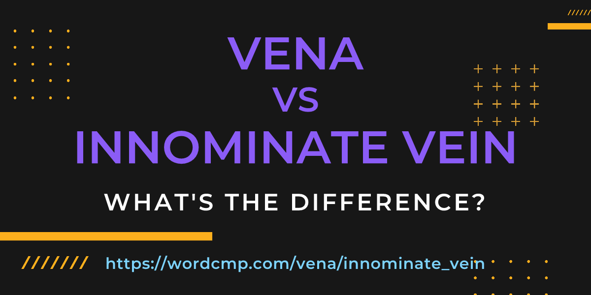 Difference between vena and innominate vein