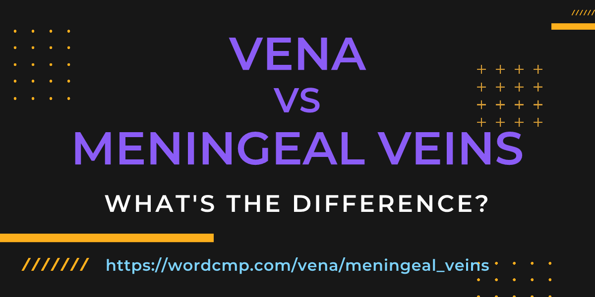 Difference between vena and meningeal veins
