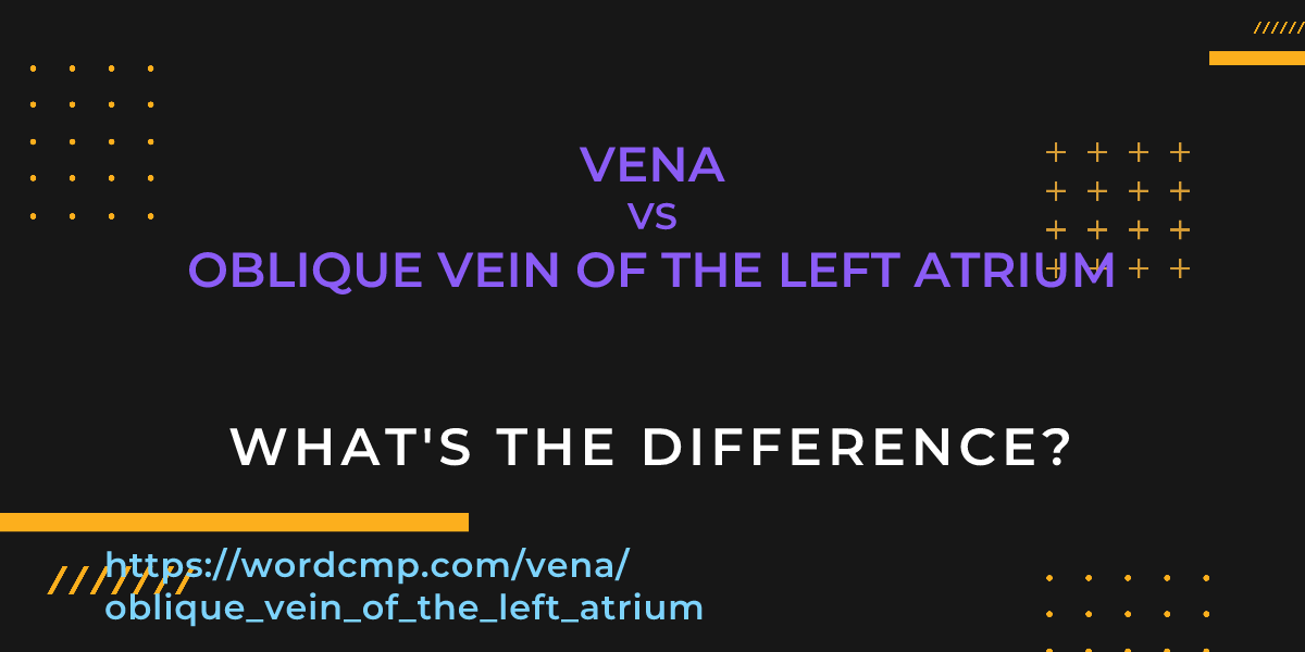 Difference between vena and oblique vein of the left atrium