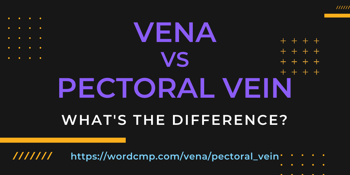 Difference between vena and pectoral vein