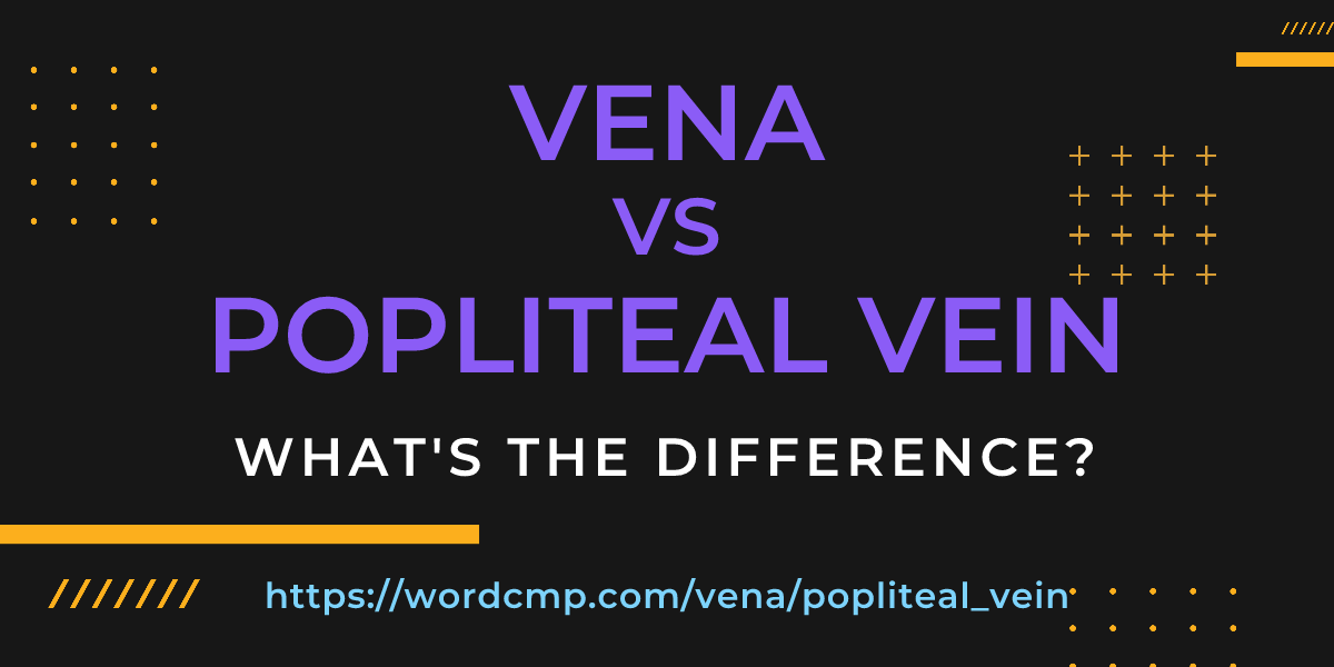 Difference between vena and popliteal vein