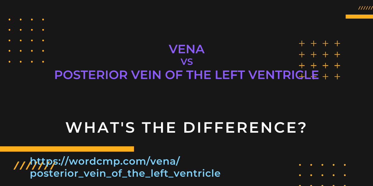 Difference between vena and posterior vein of the left ventricle
