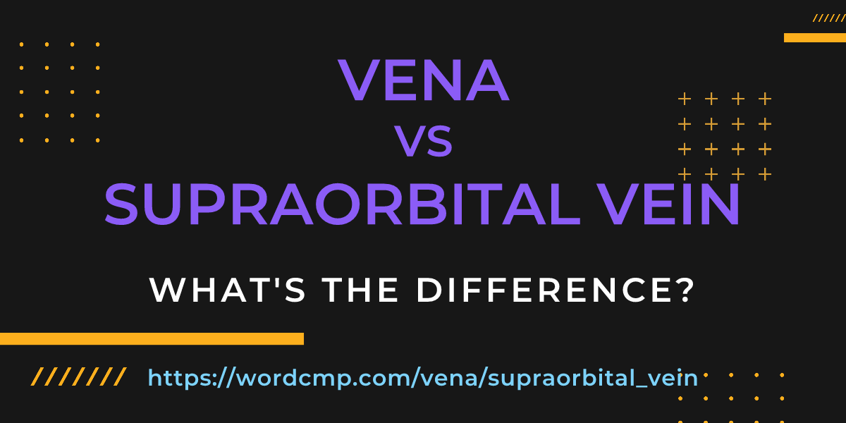 Difference between vena and supraorbital vein