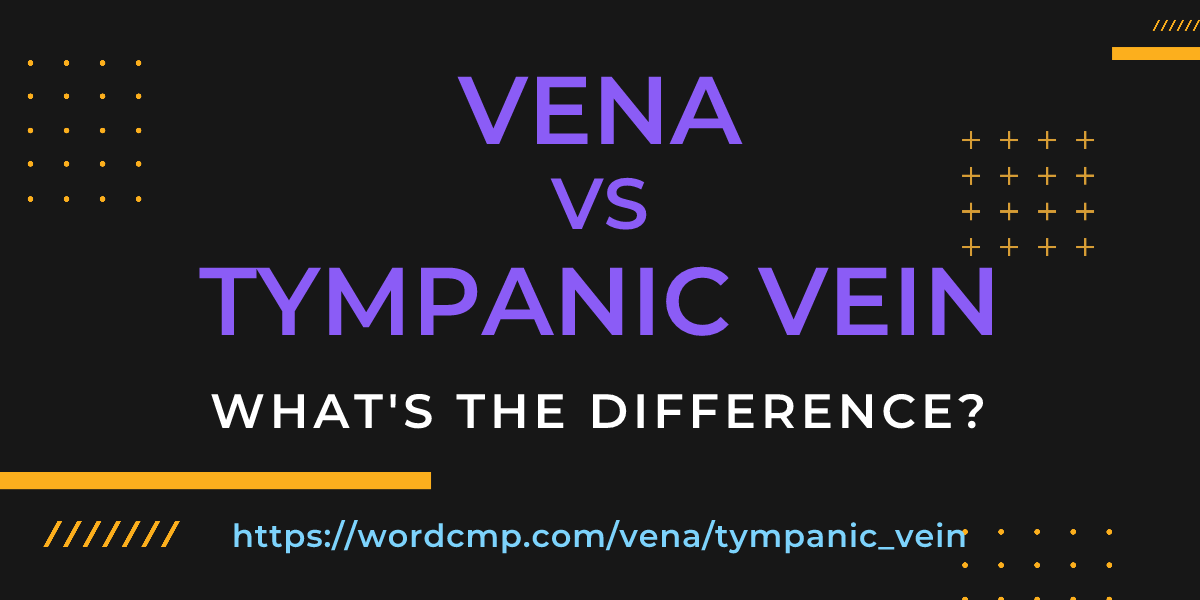 Difference between vena and tympanic vein
