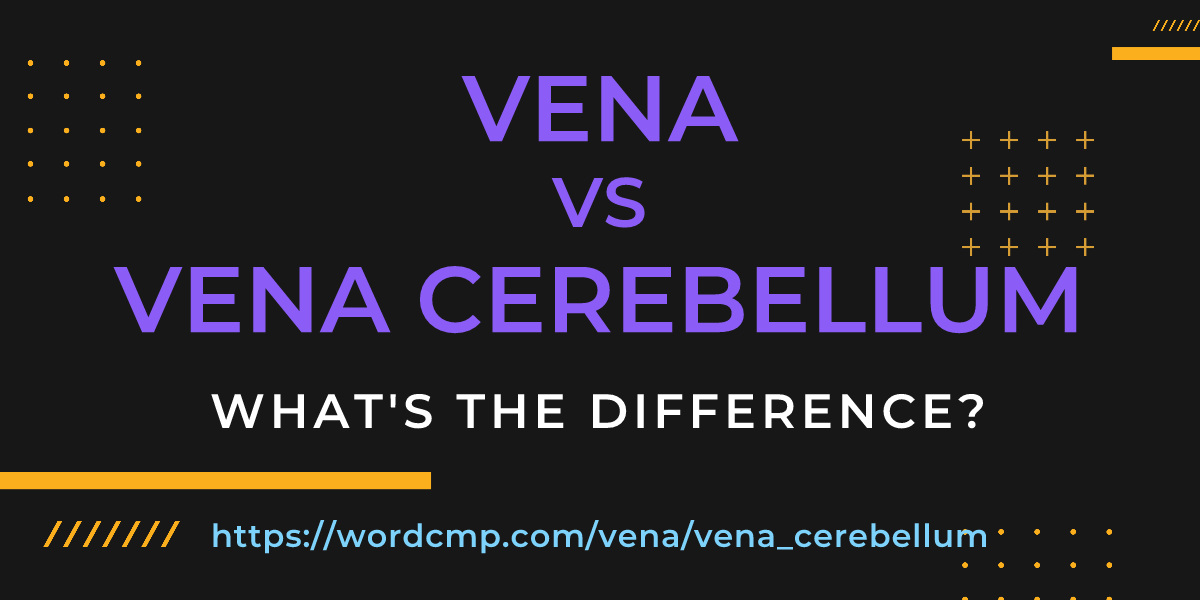Difference between vena and vena cerebellum