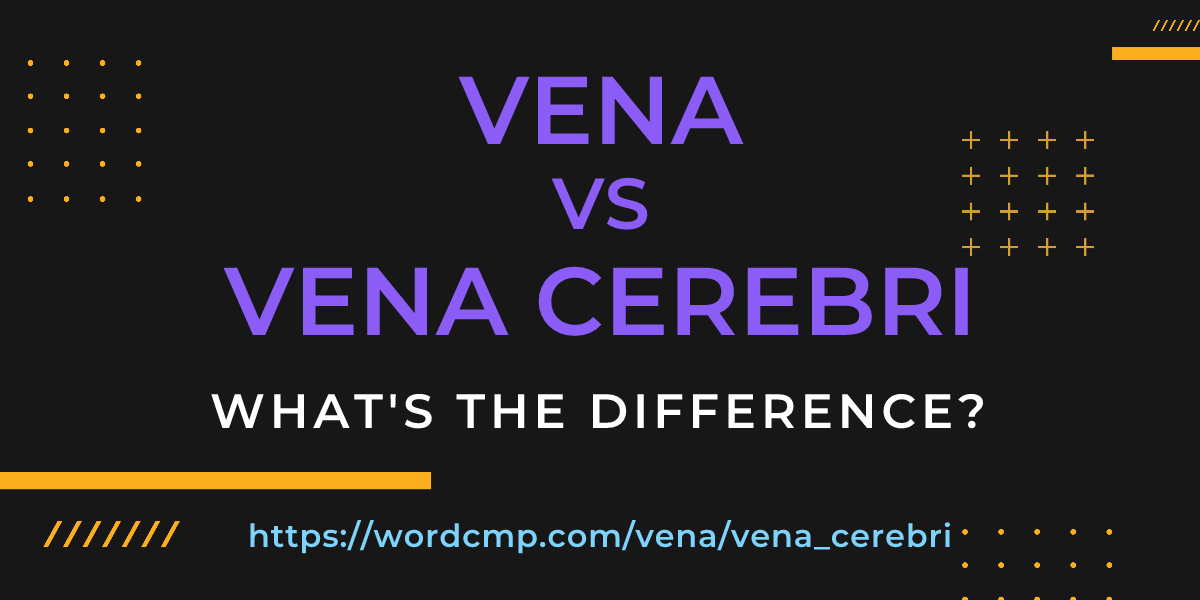 Difference between vena and vena cerebri