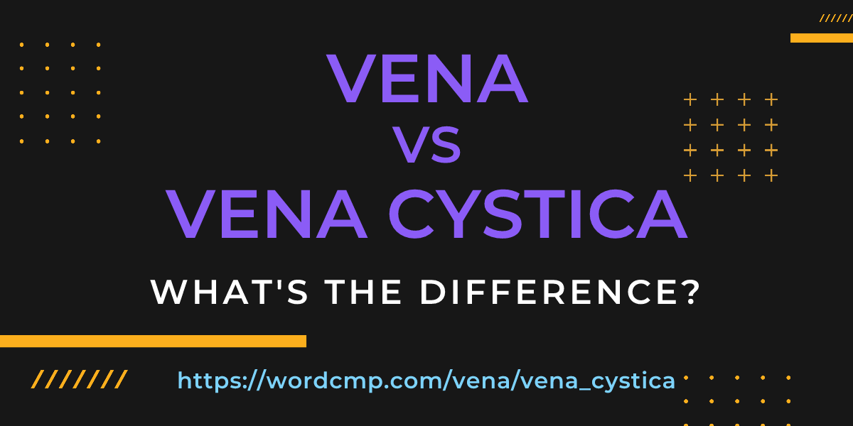 Difference between vena and vena cystica