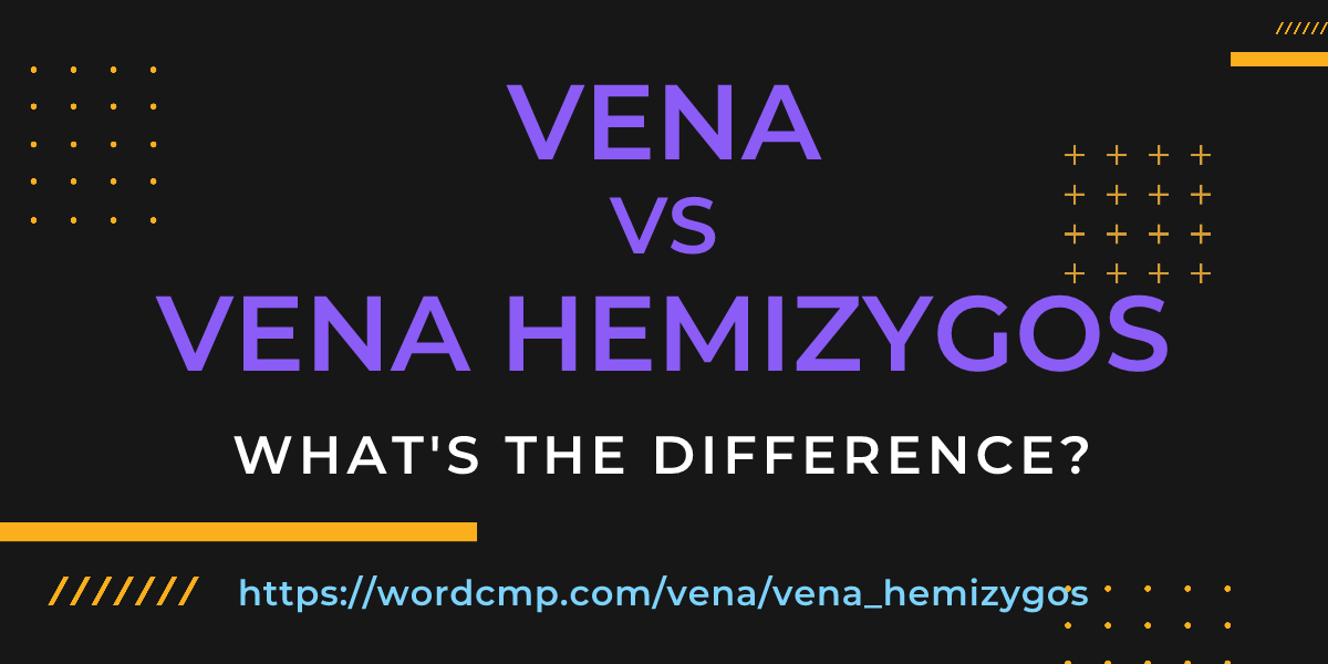 Difference between vena and vena hemizygos