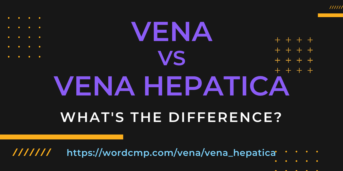 Difference between vena and vena hepatica