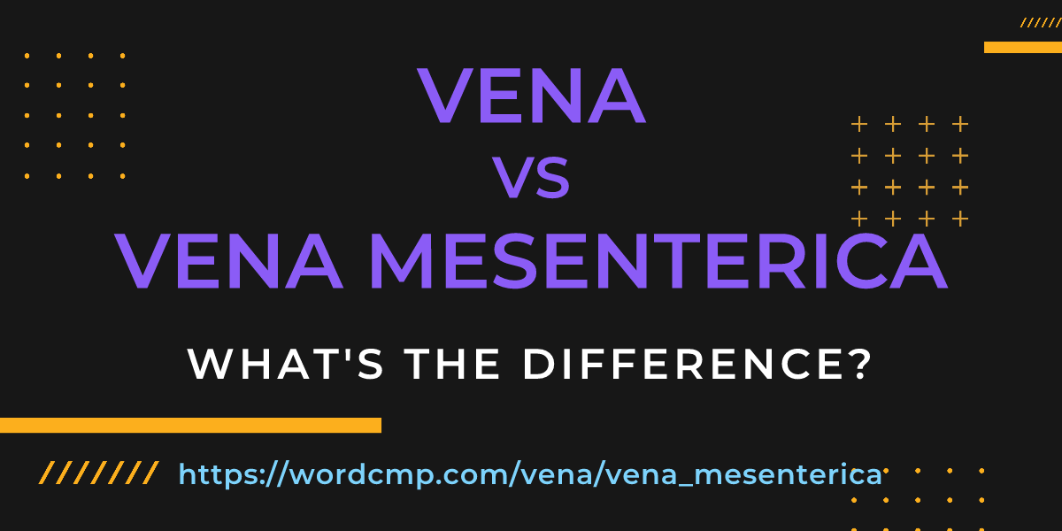 Difference between vena and vena mesenterica