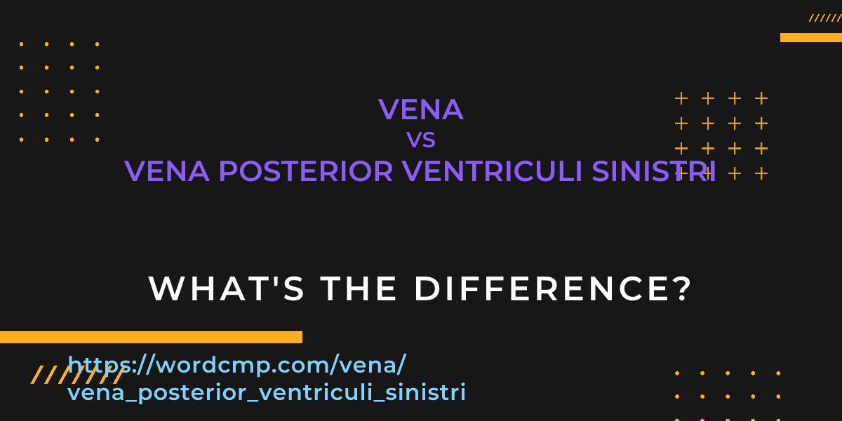 Difference between vena and vena posterior ventriculi sinistri