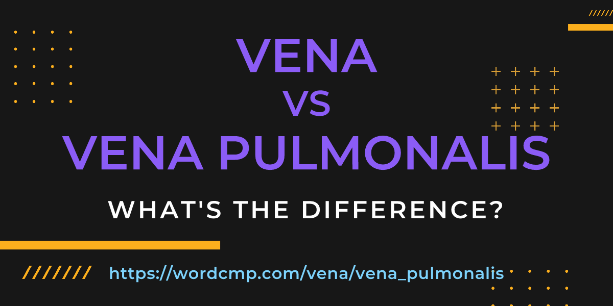 Difference between vena and vena pulmonalis