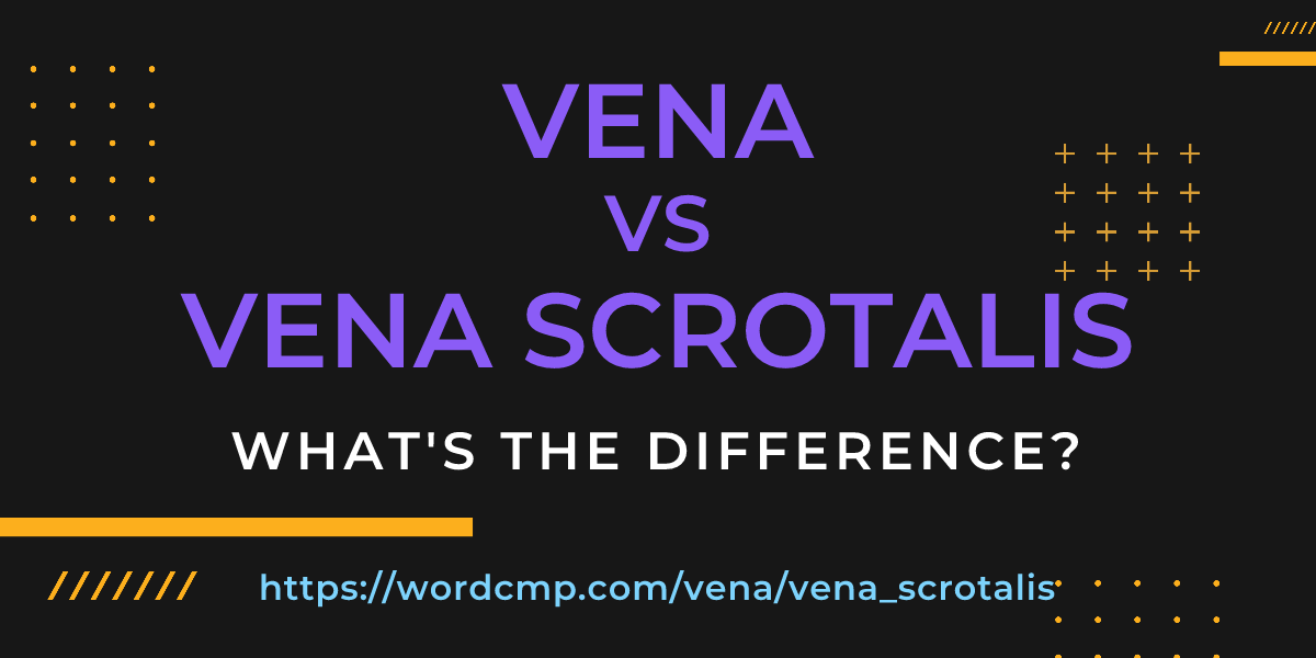 Difference between vena and vena scrotalis