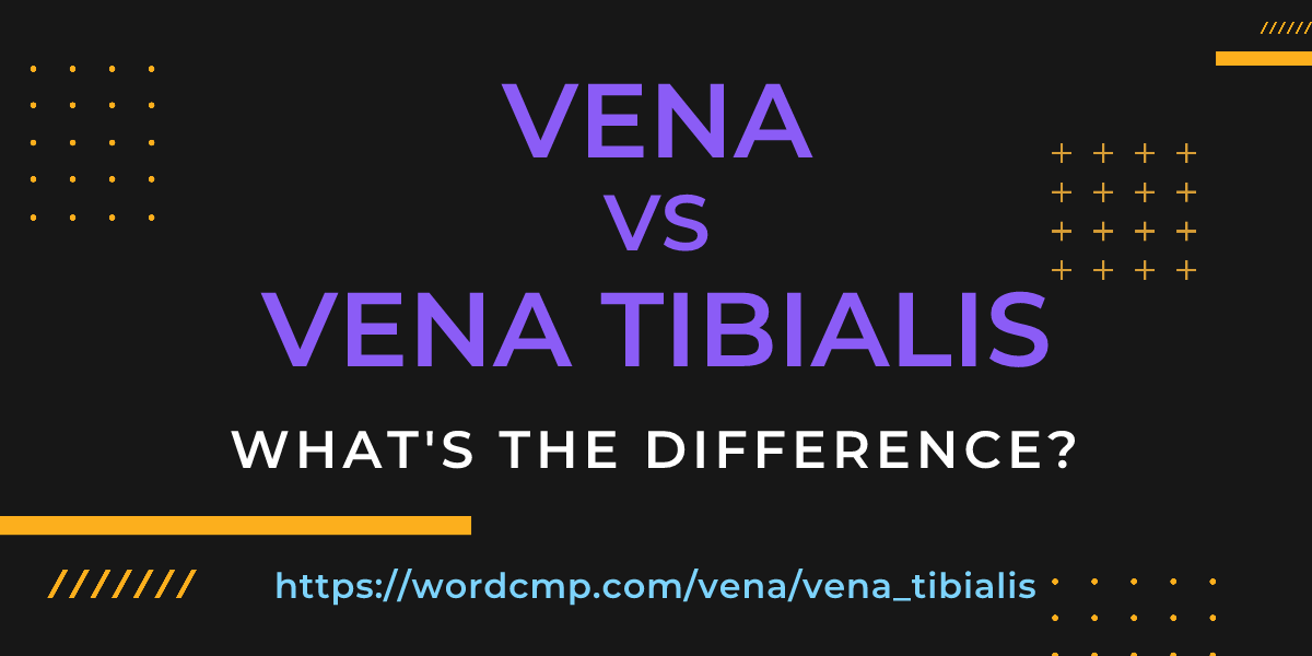Difference between vena and vena tibialis