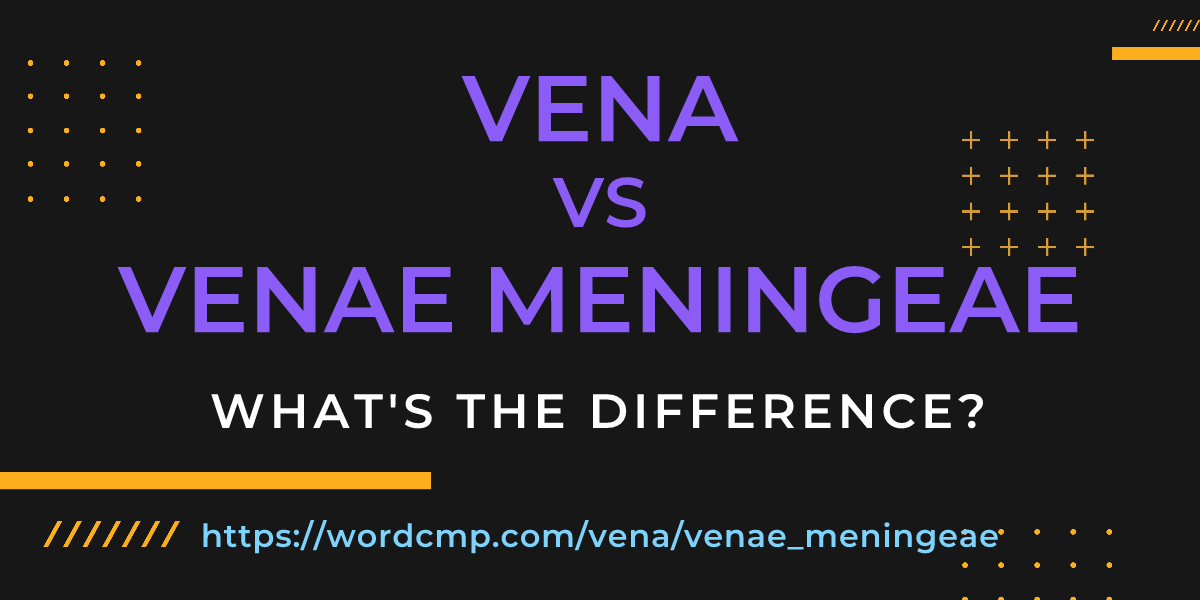 Difference between vena and venae meningeae