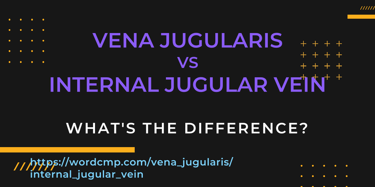 Difference between vena jugularis and internal jugular vein