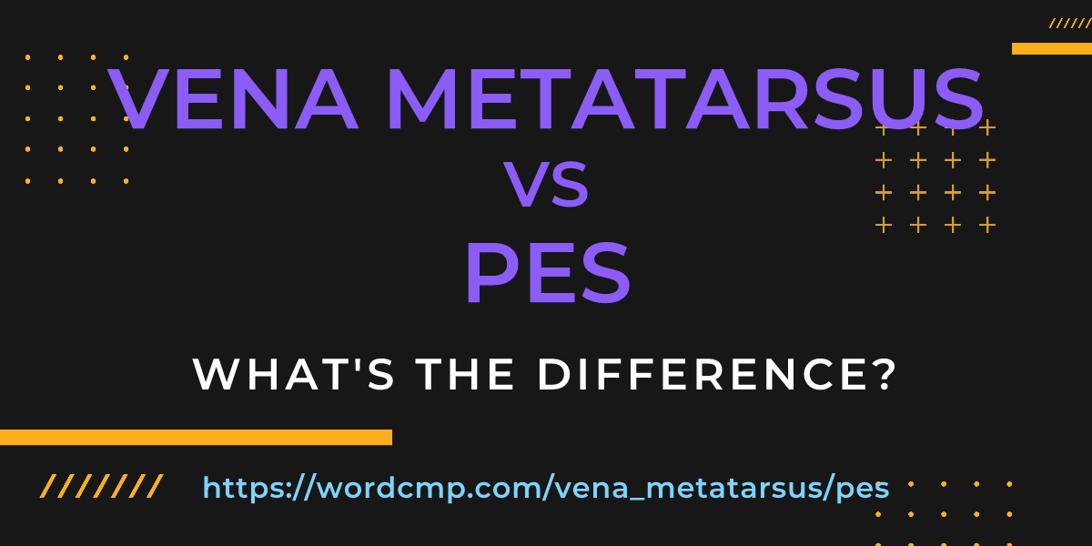 Difference between vena metatarsus and pes