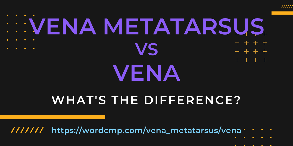 Difference between vena metatarsus and vena