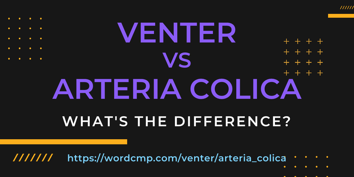 Difference between venter and arteria colica