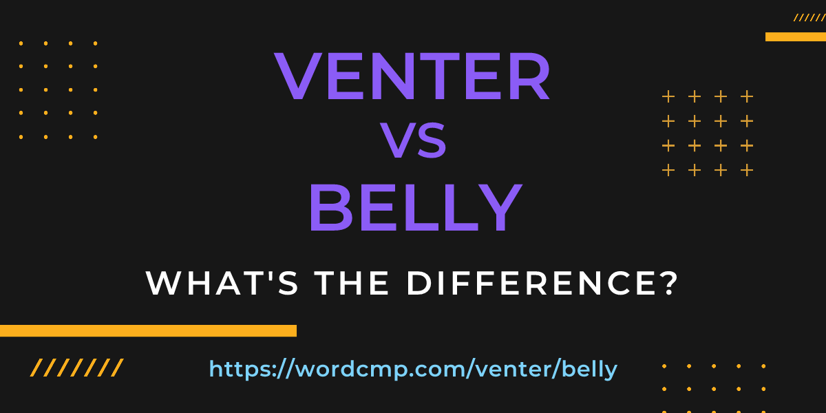 Difference between venter and belly