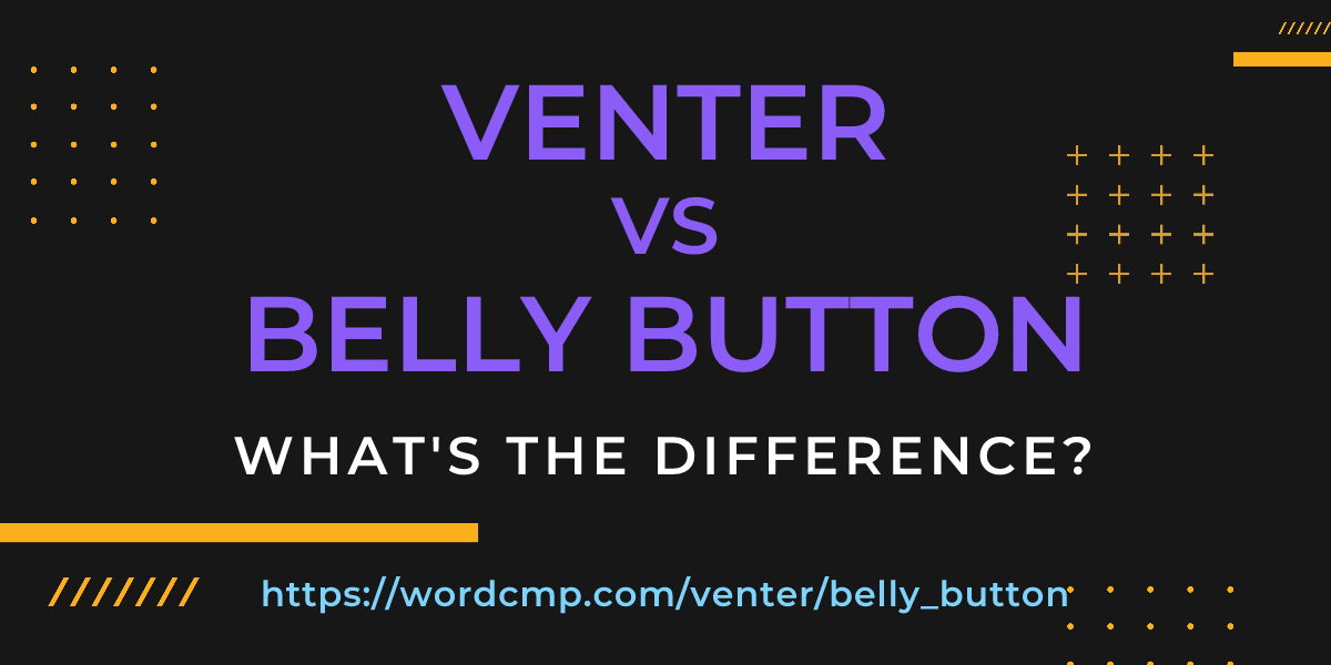 Difference between venter and belly button