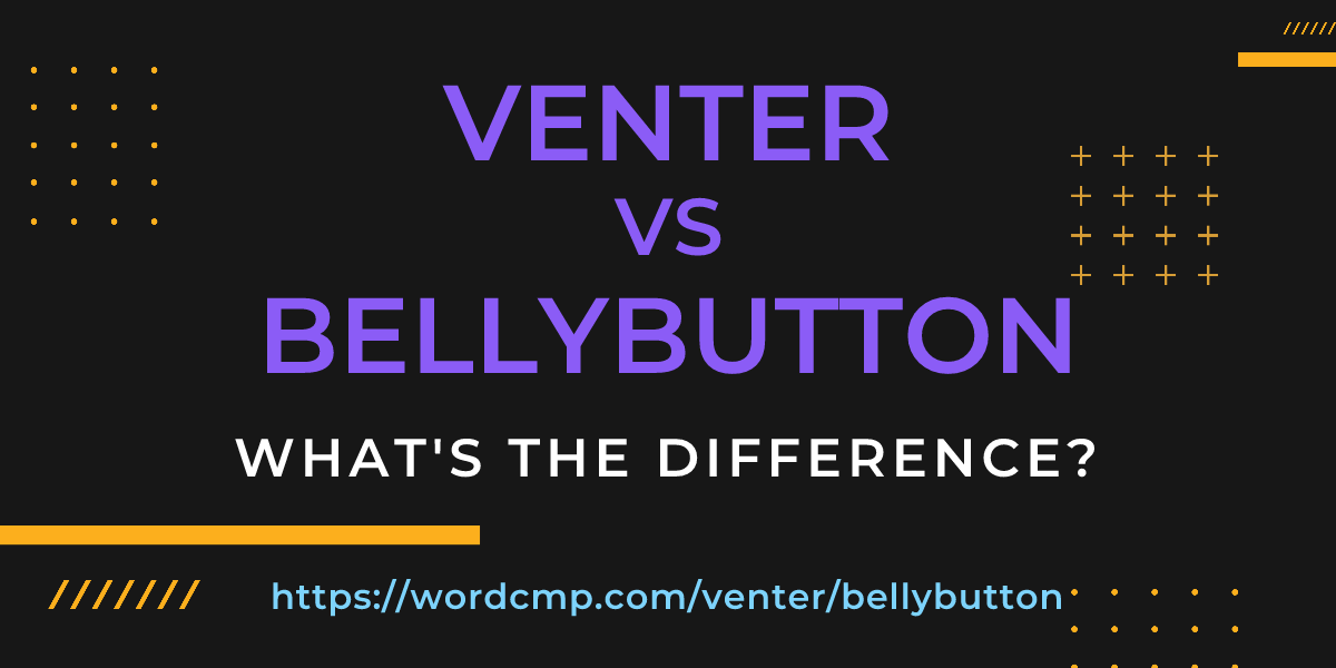 Difference between venter and bellybutton