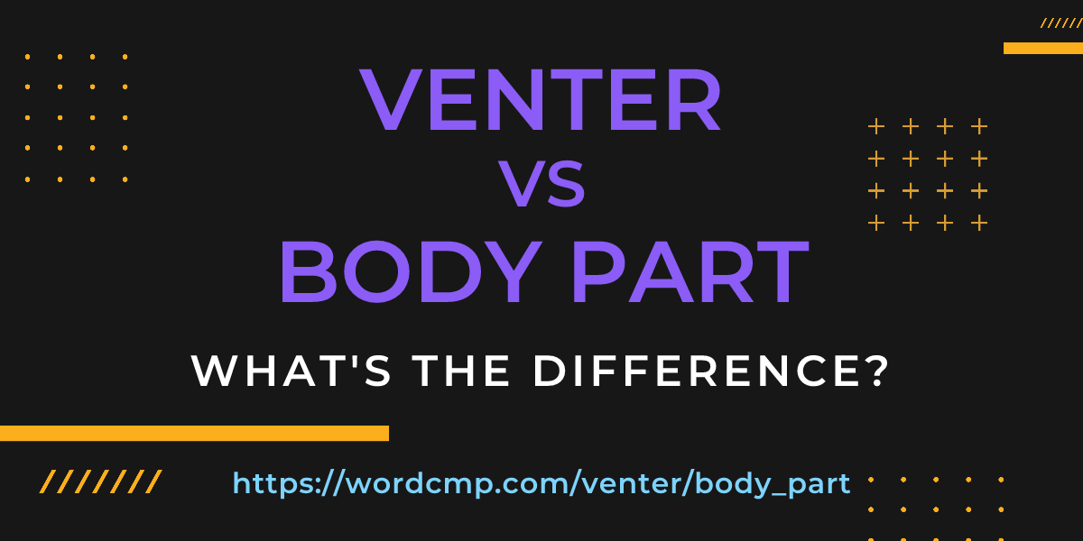 Difference between venter and body part