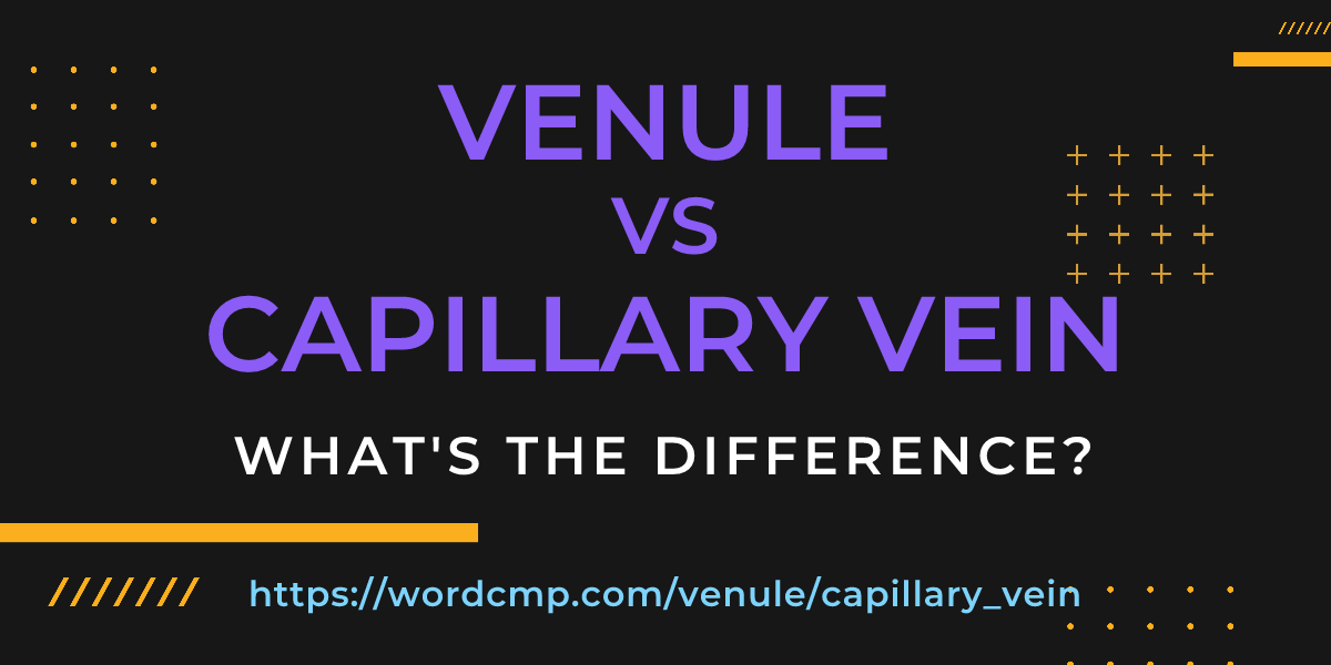 Difference between venule and capillary vein