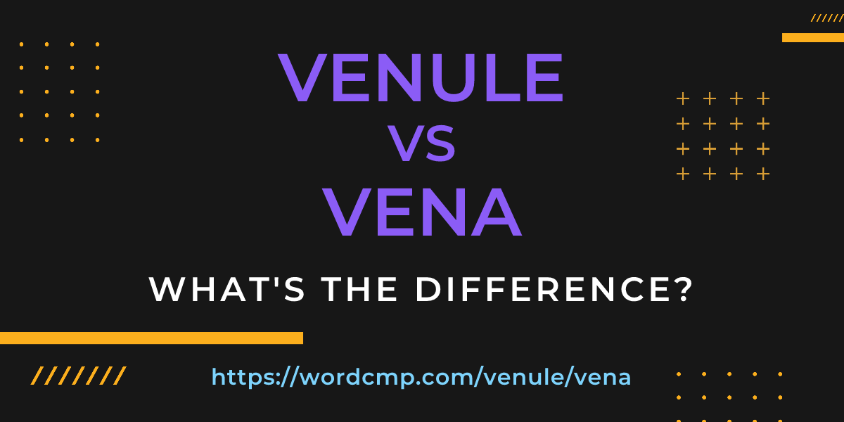 Difference between venule and vena