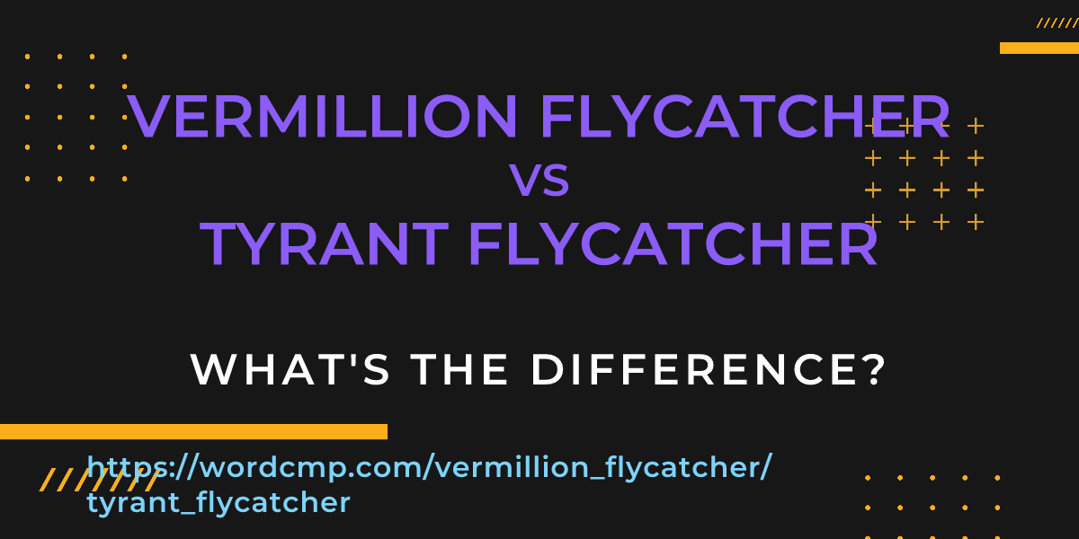 Difference between vermillion flycatcher and tyrant flycatcher