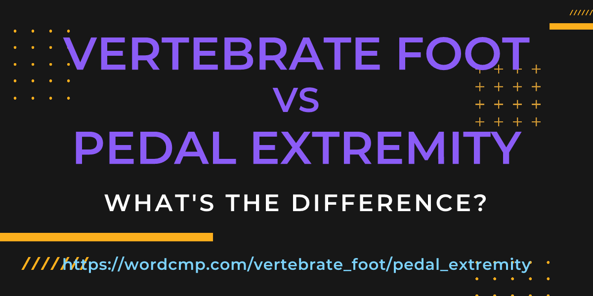 Difference between vertebrate foot and pedal extremity