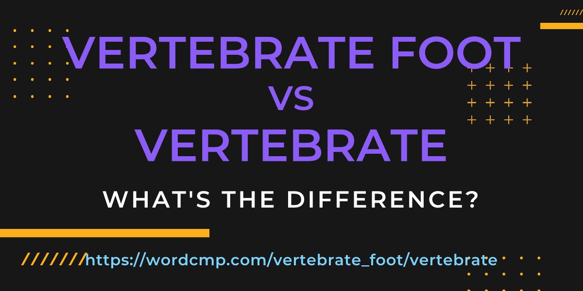 Difference between vertebrate foot and vertebrate