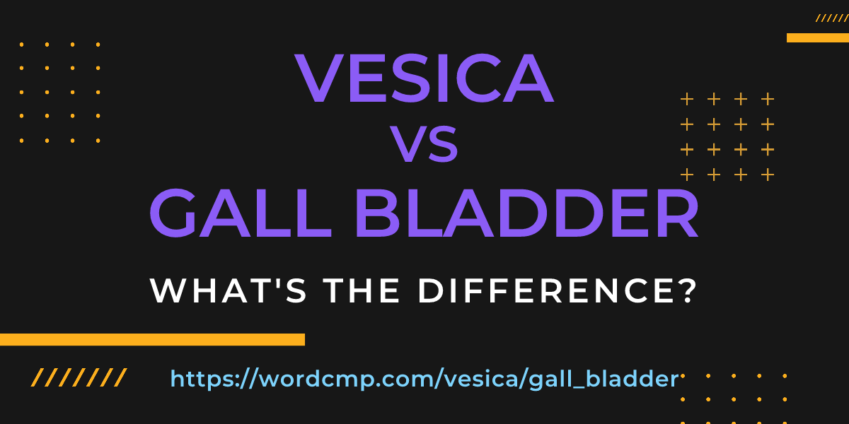 Difference between vesica and gall bladder