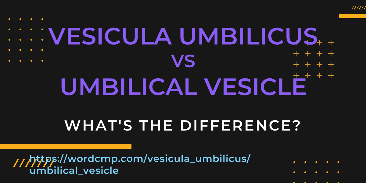 Difference between vesicula umbilicus and umbilical vesicle
