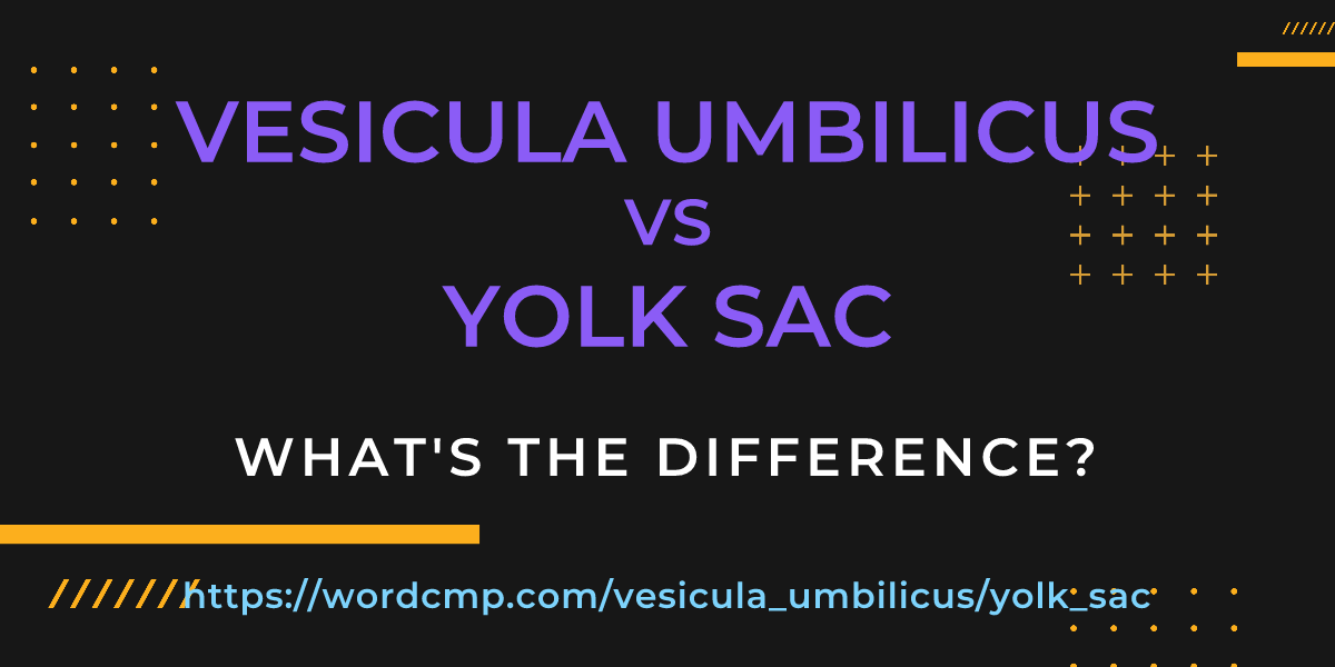 Difference between vesicula umbilicus and yolk sac
