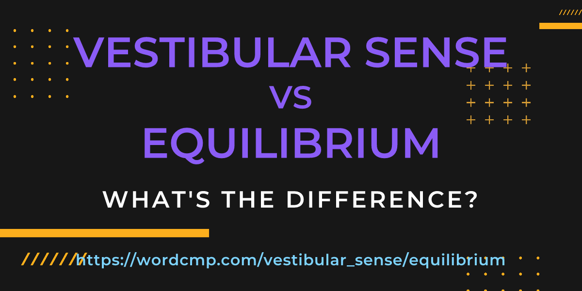 Difference between vestibular sense and equilibrium