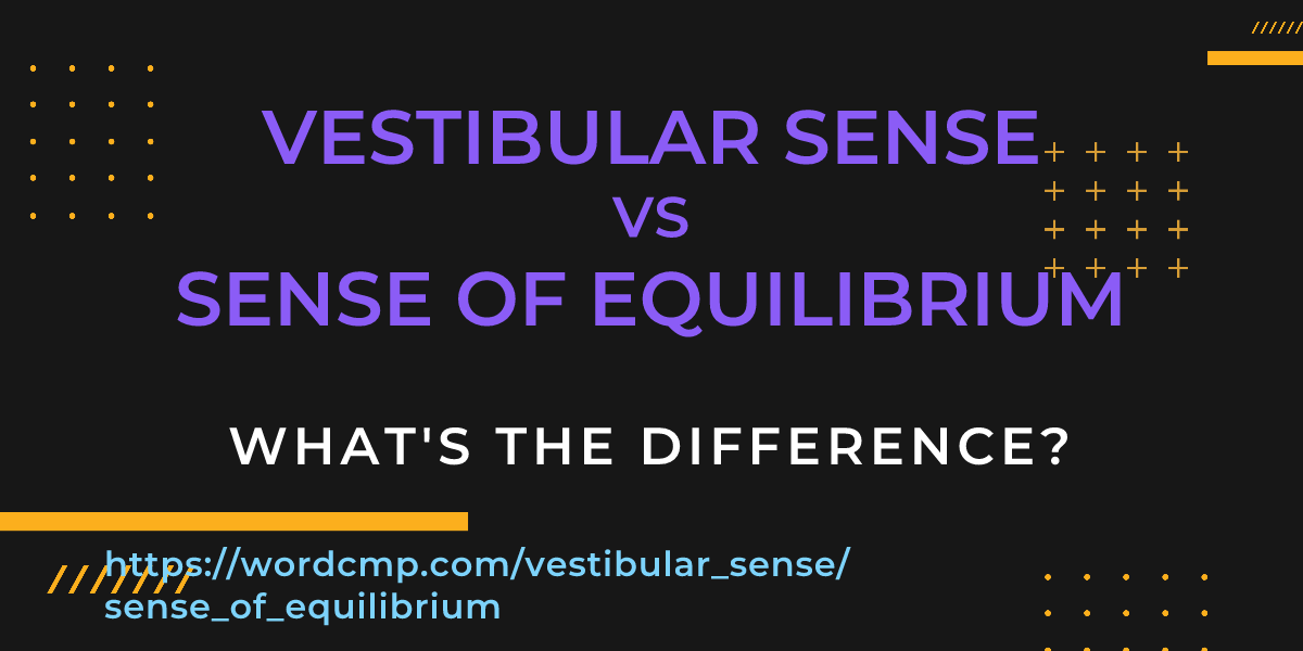 Difference between vestibular sense and sense of equilibrium