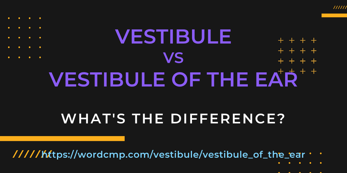 Difference between vestibule and vestibule of the ear