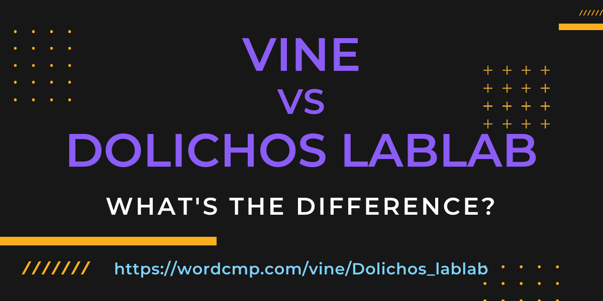 Difference between vine and Dolichos lablab