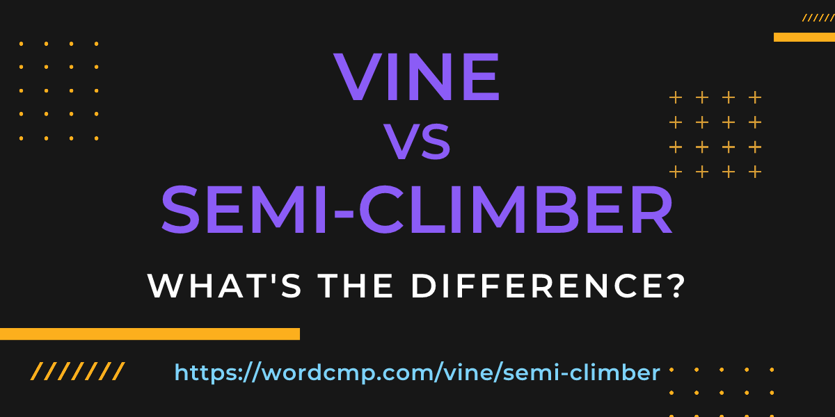 Difference between vine and semi-climber