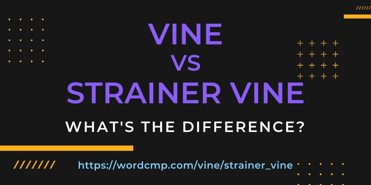 Difference between vine and strainer vine