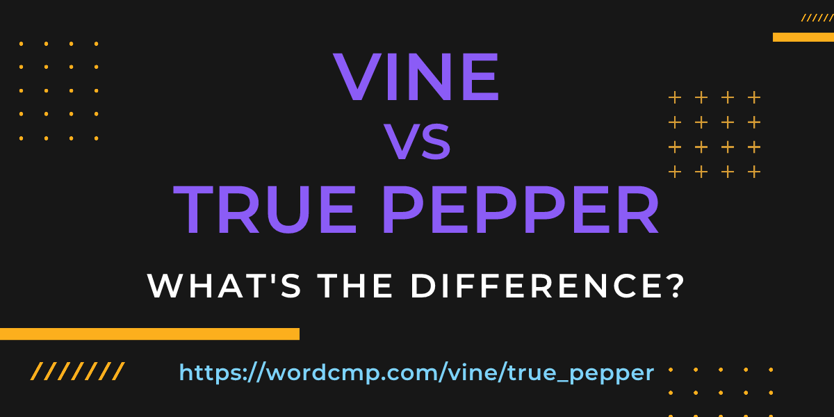 Difference between vine and true pepper
