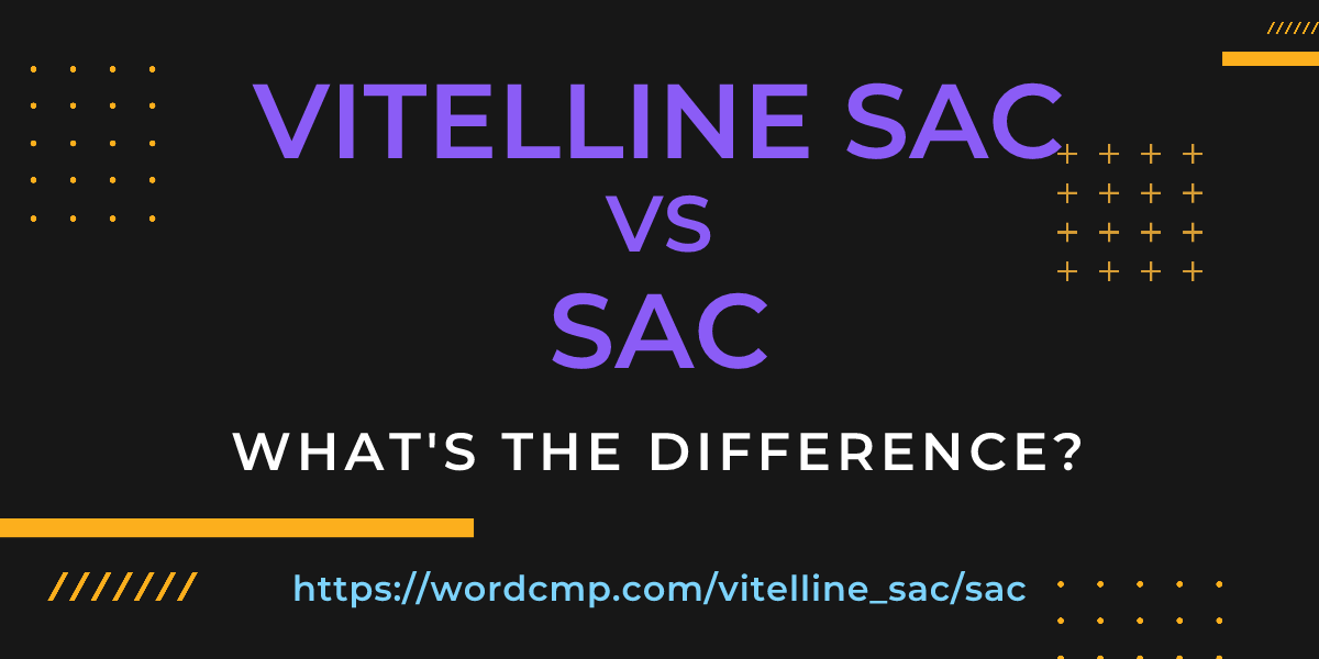 Difference between vitelline sac and sac