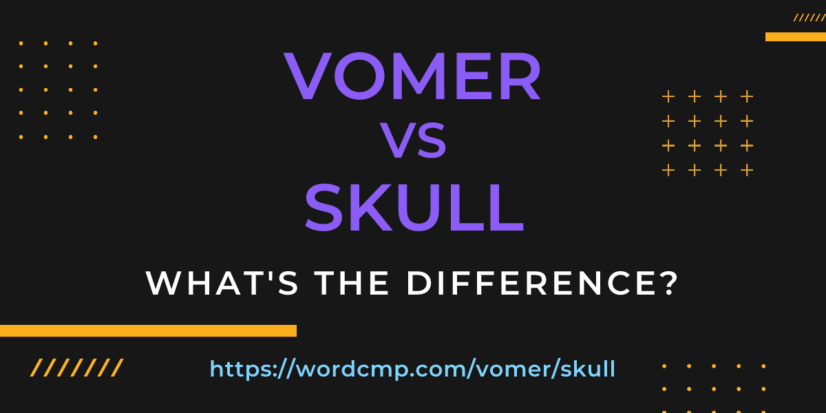 Difference between vomer and skull