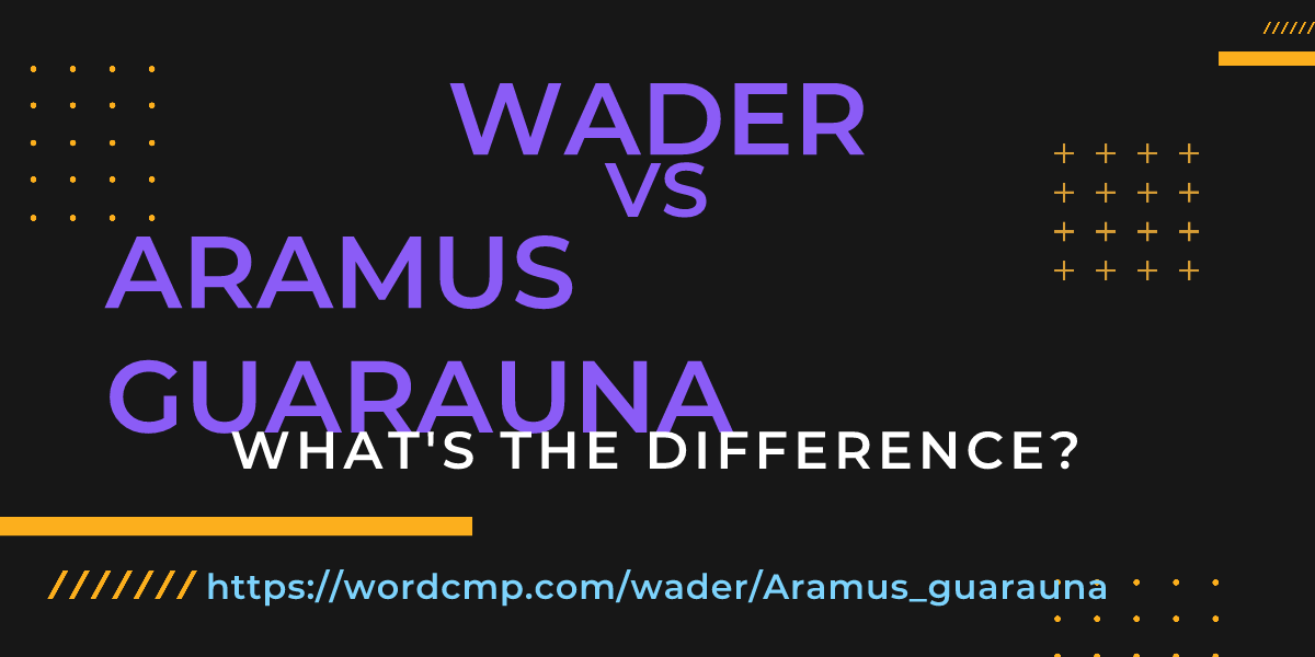 Difference between wader and Aramus guarauna