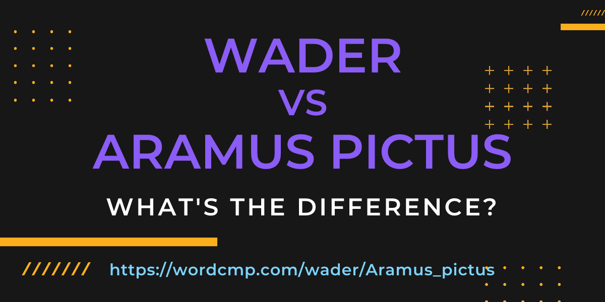 Difference between wader and Aramus pictus