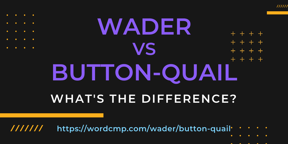 Difference between wader and button-quail