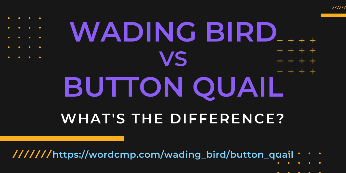 Difference between wading bird and button quail